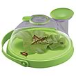 Bug Jug  Live Insect Viewer